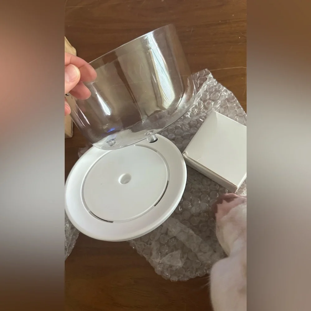 N/A cat water